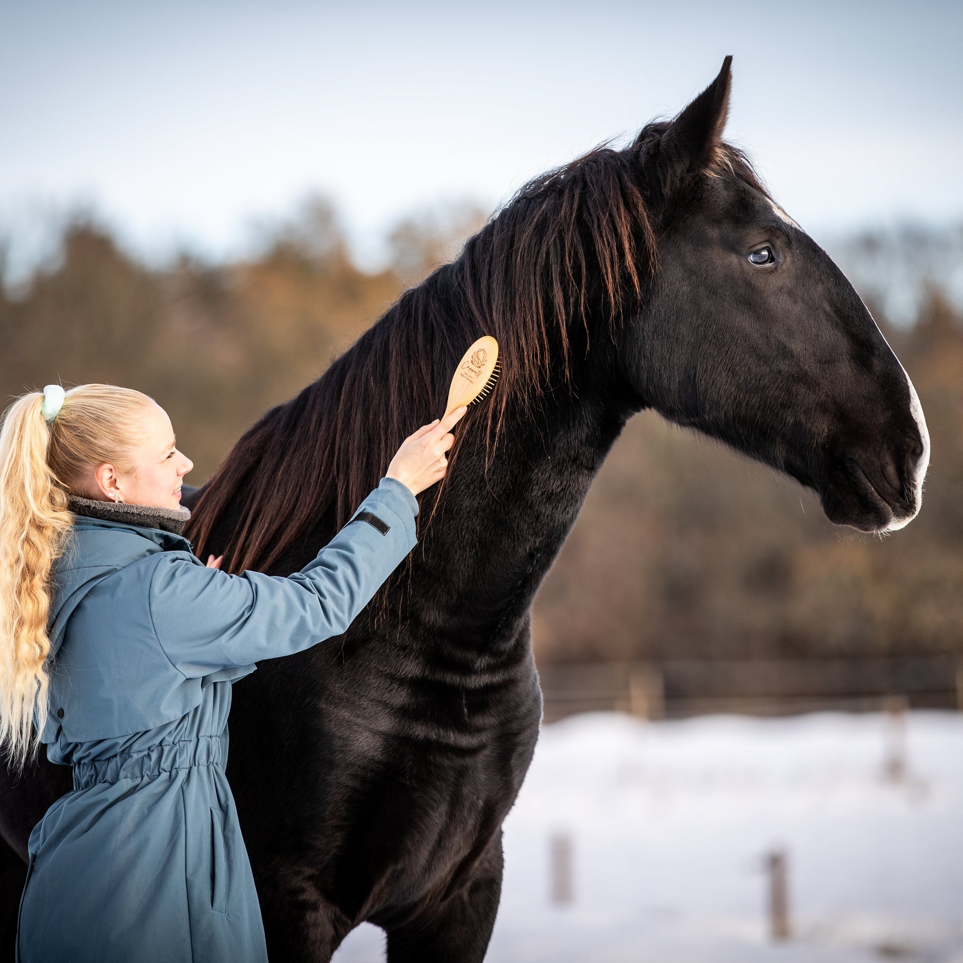 Blonde Reiterin und ihr Pferd genießen die Pflege mit der Mähnenbürste aus dem Pferdebürsten Set – hochwertige Bürsten aus deutscher Herstellung für die Pferdepflege.
