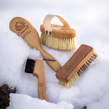 Essential horse grooming kit