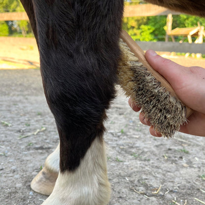 Hoof brush & hoof pick set