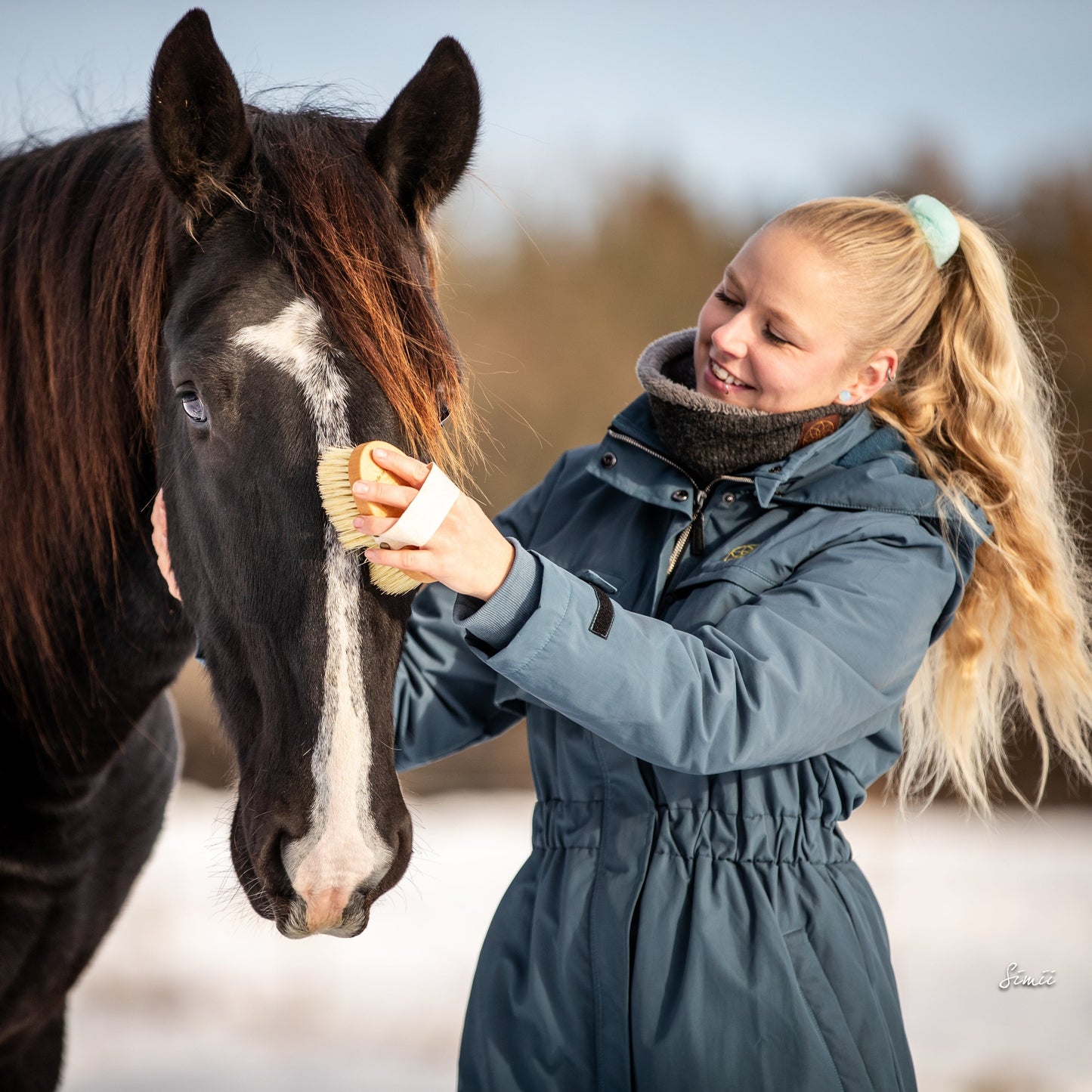 Basic horse grooming set