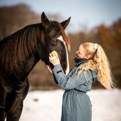 Wooden horse grooming brush