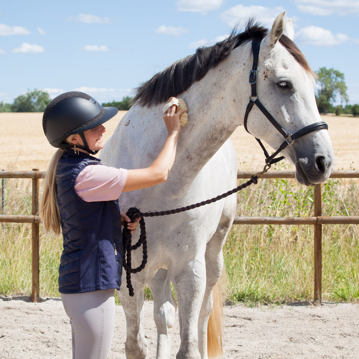 A woman in equestrian attire, wearing a black helmet and navy vest, is grooming a white horse in an outdoor paddock with a fence and field in the background.