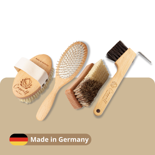 Essential horse grooming kit